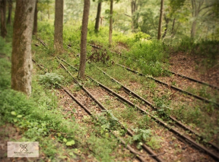 Remnants of Nuttallburg train yard.